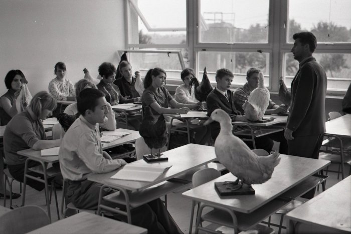 Ilustračný obrázok k článku Teror od učiteľov: Kružidlom do nohy a tresty, desivé spomienky z ČSSR aj po páde režimu