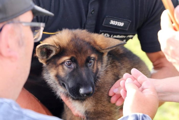 Ilustračný obrázok k článku Policajti a ochranári pokračujú v tradícii: Vozíčkarom dopriali výlet na Zobor