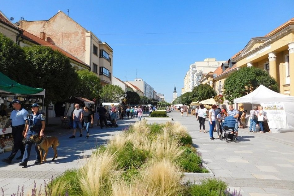 Ilustračný obrázok k článku Trnava už viac poslancov mať nemôže: Koľko ich je vo vašom volebnom obvode?