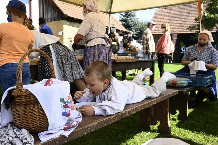 Ilustračný obrázok k článku Dni sliviek sú tu: Populárne podujatie privíta Gazdovský dvor