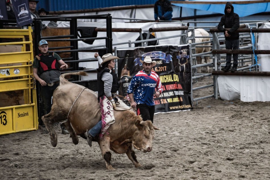 Ilustračný obrázok k článku Revúčanka Timea má poriadnu guráž: V jazde na býkoch si meria sily s mužmi, FOTO