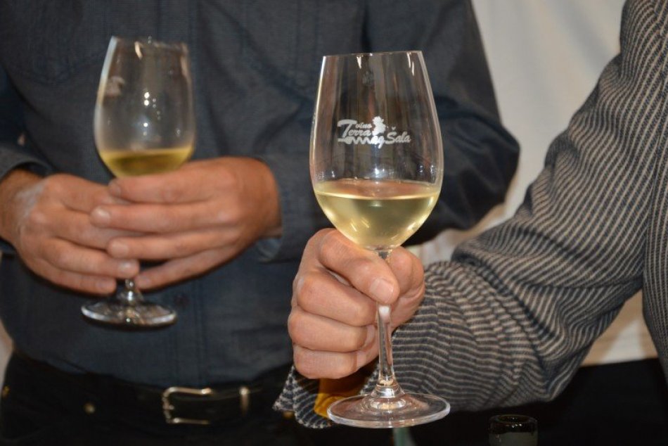 Ilustračný obrázok k článku Šaľa spoznala tie NAJLEPŠIE vína: Súťažiaci prihlásili 220 vzoriek, FOTO