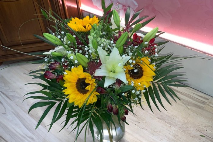 Ilustračný obrázok k článku Pani Rozália oslavuje nádherné jubileum: DOŽÍVA sa STO rokov a to má náhradnú chlopňu