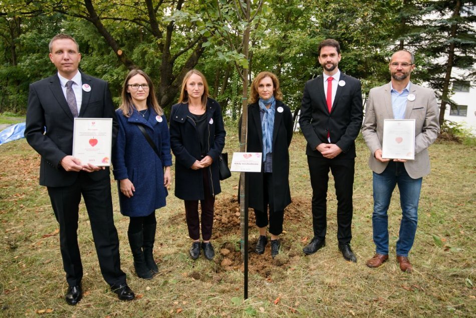Ilustračný obrázok k článku V Bystrici rastie živá pamiatka na obete pandémie: Zasadená bola 1. spomienková lipa, FOTO