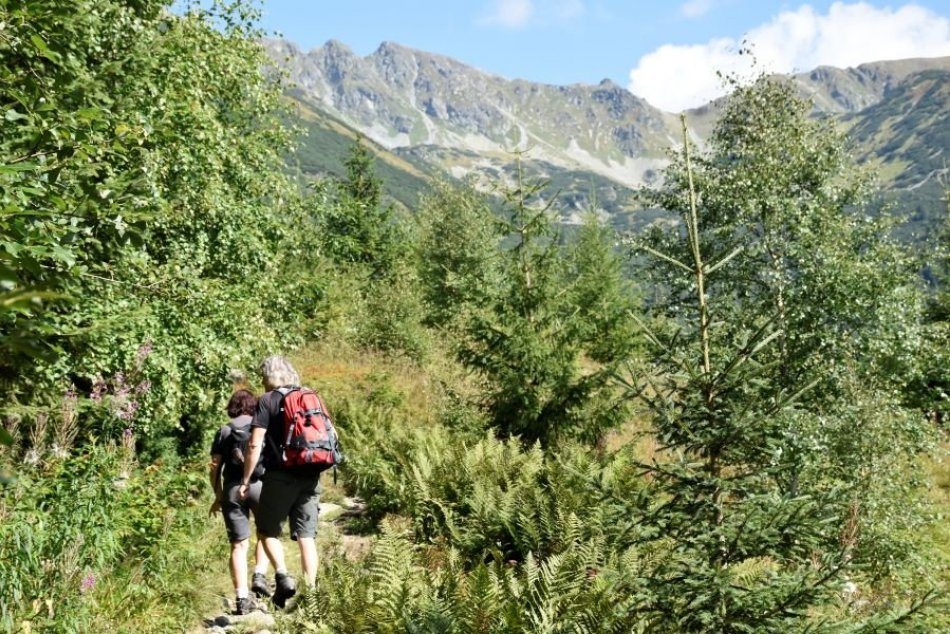 Ilustračný obrázok k článku Vo Vysokých Tatrách platí ZÁKAZ vstupu do lesov mimo značených trás: Hrozí nebezpečenstvo