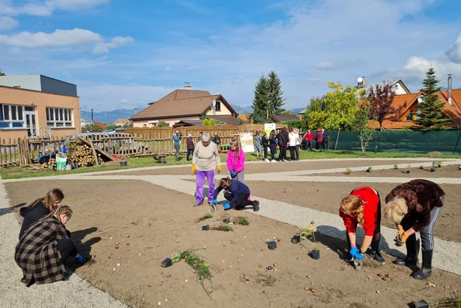 Ilustračný obrázok k článku Miesto drania lavíc vyhrnuli rukávy: Žiaci v Mikuláši si sami vybudovali záhradu, FOTO