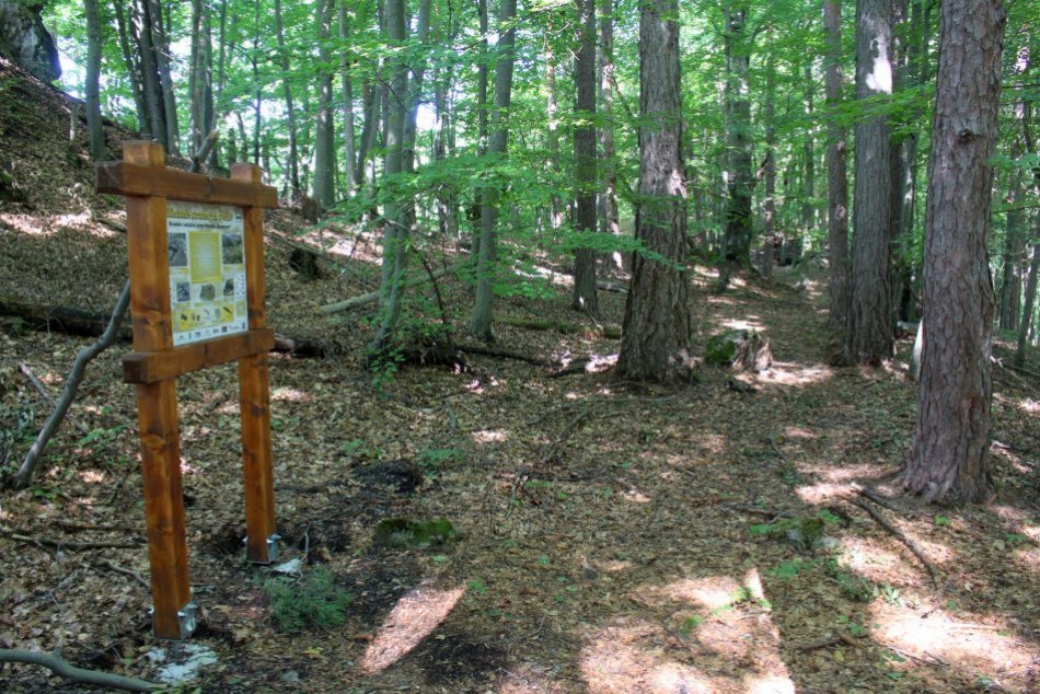 Ilustračný obrázok k článku Nevýrazný kopec neďaleko Bystrice ukrýva historický klenot: Počuli ste o Kamennej? FOTO