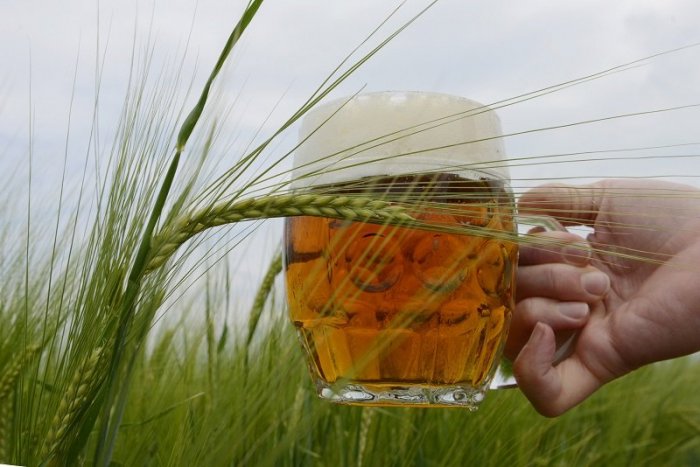 Ilustračný obrázok k článku Sladovníci vyzývajú vládu: Ceny plynu závratne stúpli, riešte to! Bude i pivo DRAHŠIE?