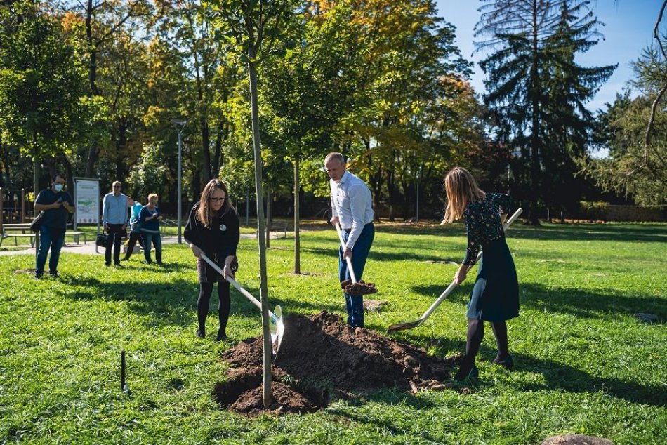 Ilustračný obrázok k článku V Žiline si uctili pamiatku obetí pandémie: V mestskom vysadili symbolickú lipu, FOTO