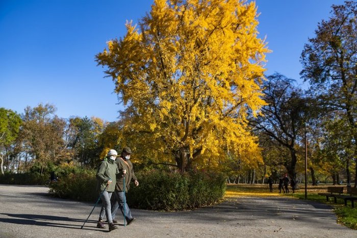 Ilustračný obrázok k článku V Bratislave je zaočkovaných 64 percent ľudí. Ako sa rozsvieti COVID automat od pondelka?