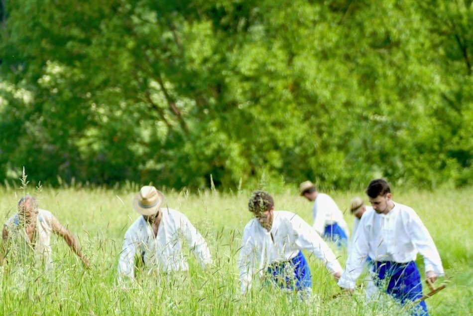Ilustračný obrázok k článku Tradície sa vracajú: V Nitre sa bude súťažiť v kosení ručnou kosou