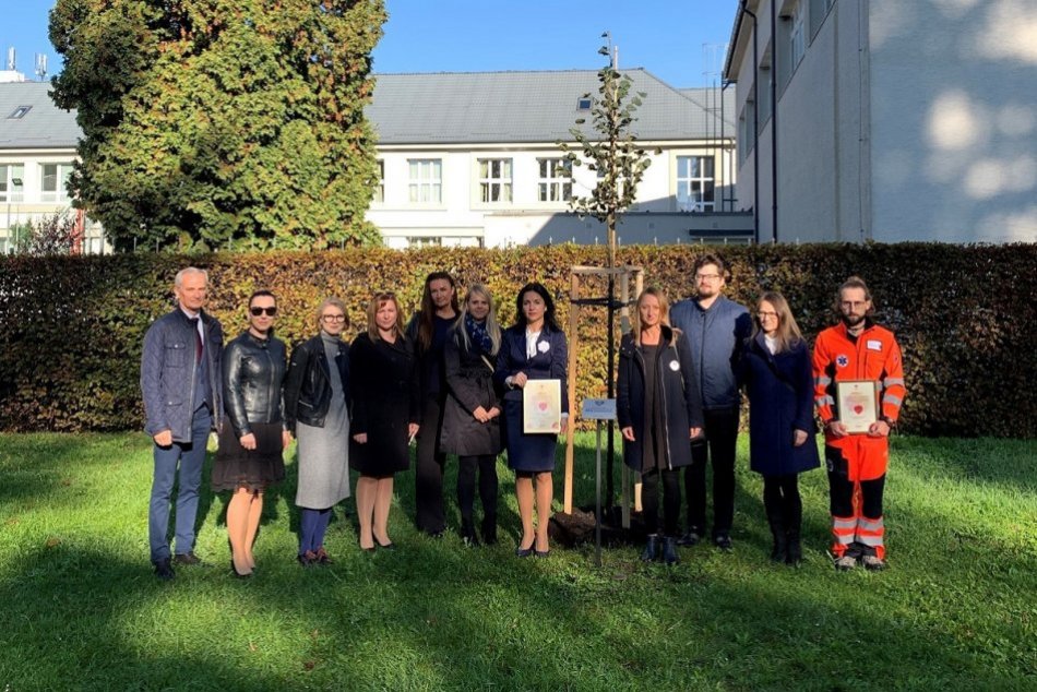 Ilustračný obrázok k článku Púchov si pripomenul obete pandémie: Primátorka o strachu, hneve i nádeji, FOTO