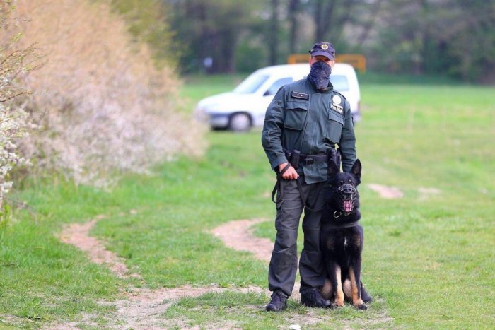 Ilustračný obrázok k článku Bystrickí policajti prežívajú smútok: Odišiel ich jedinečný priateľ a kolega, FOTO