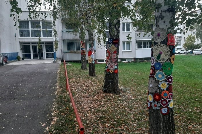 Ilustračný obrázok k článku Seniorky v Humennom majú šikovné ruky. Stromy skrášlili háčkovanými dečkami, FOTO