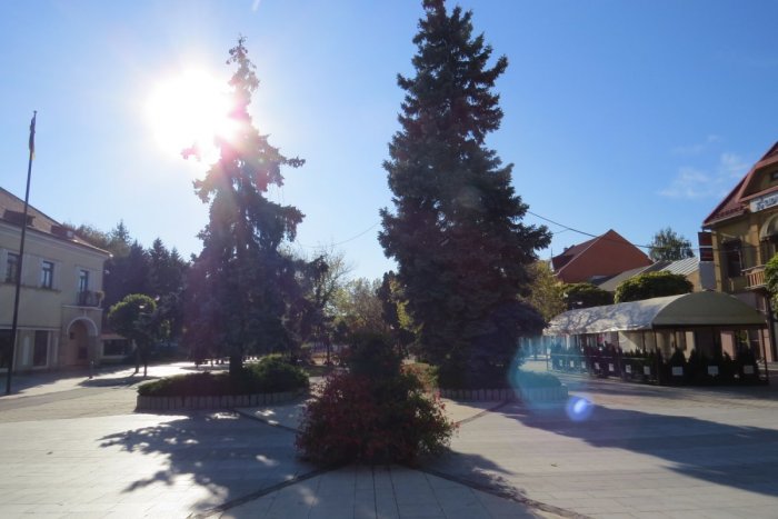 Ilustračný obrázok k článku Vysoký nárast pozitivity PCR testami: Okres Michalovce v covid číslach