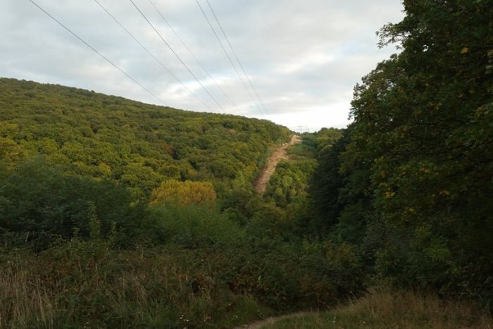 Ilustračný obrázok k článku "Vyholená" ryha v lesoparku: STĹPY SMRTI idú pod zem kvôli vtákom