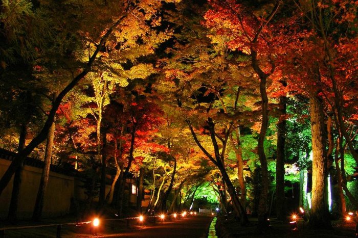 Ilustračný obrázok k článku Zázračná prechádzka v parku v štýle HALLOWEENSKEJ NOCI, ak sa nebojíte príďte!