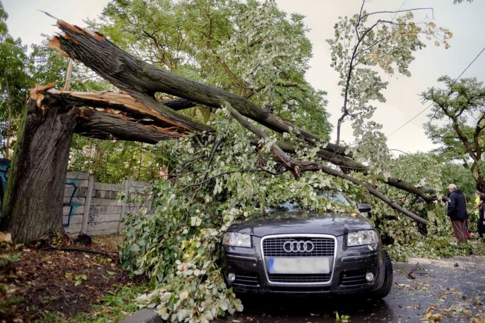 Ilustračný obrázok k článku Slovensko trápi BÚRLIVÝ vietor: Na Chopku už fúka ORKÁN