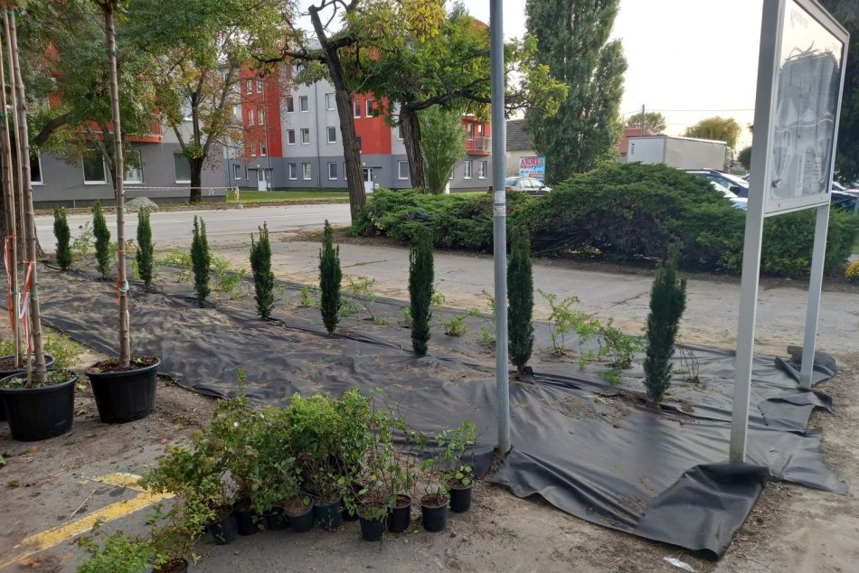 Ilustračný obrázok k článku Novinka pred blížiacimi sa sviatkami: Mesto skrášlilo vstup na cintorín, FOTO