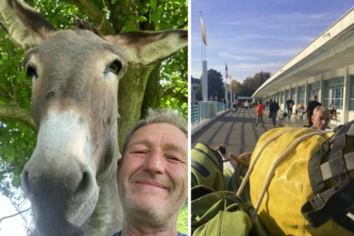 Ilustračný obrázok k článku Na Slovensku sa ocitol muž so STATOČNÝM oslíkom: Pešo sa vybrali na Ďaleký východ!