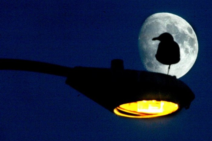 Ilustračný obrázok k článku Čím budú samosprávy svietiť a kúriť? ZMOS žiada zvolanie mimoriadnych parlamentných výborov