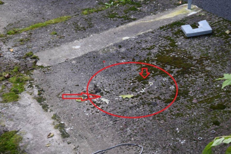 Ilustračný obrázok k článku Nebezpečný odpad za Domom služieb v Novákoch: Prípad má v rukách polícia, FOTO