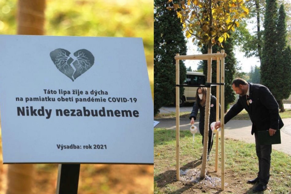 Ilustračný obrázok k článku Nové Zámky si uctili obete pandémie: Ich pamiatku bude pripomínať lipa, FOTO