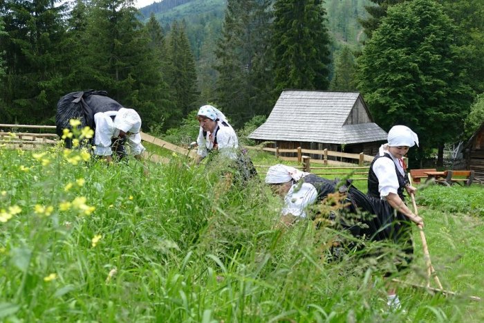 Ilustračný obrázok k článku Vychádza unikátna publikácia: Mapuje históriu Múzea kysuckej dediny