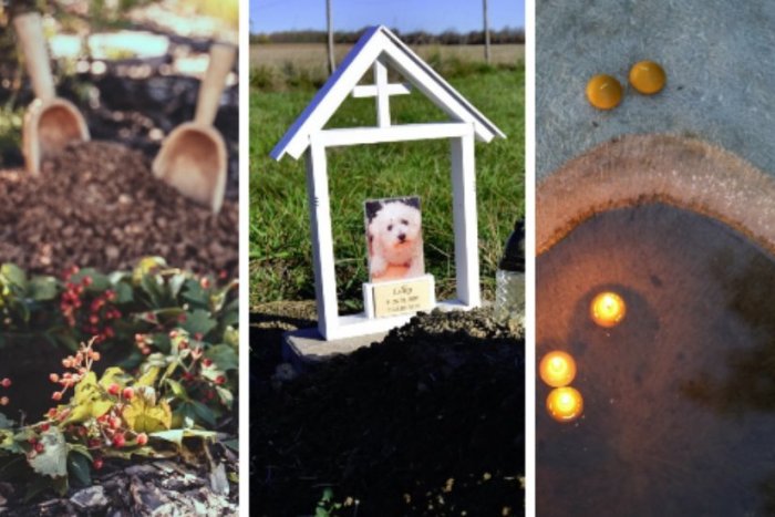 Ilustračný obrázok k článku Výnimočné rozlúčky s milovanými: Popol v koreňoch stromov i zvieracie cintoríny