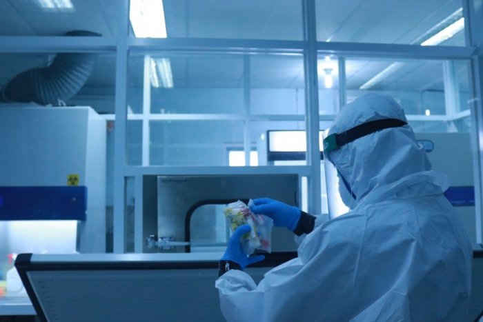 Ilustračný obrázok k článku Koronavírus neutíchol ani počas sviatku: Ďalší prírastok nakazených, pacientov a obetí