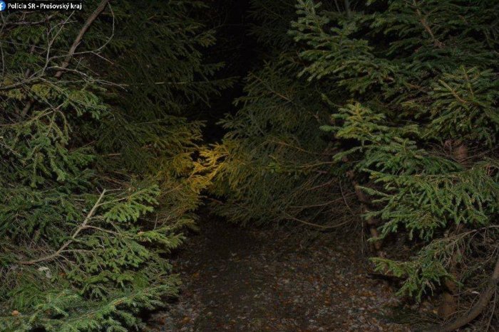Ilustračný obrázok k článku Neznámy "ochranca prírody" naťahal po lese ostnatý drôt: Motorkár má ťažké zranenia!