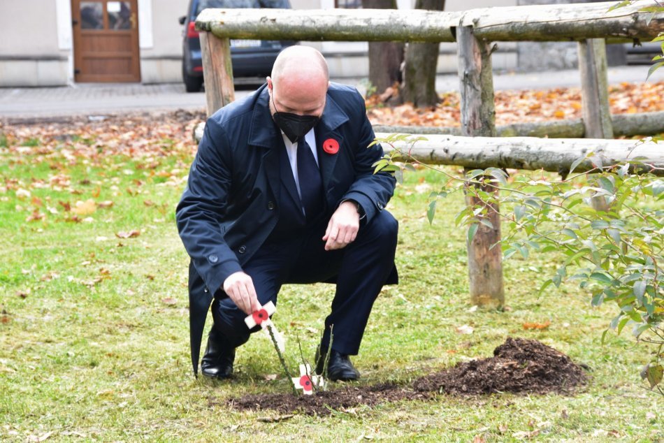 Ilustračný obrázok k článku Naď si v Bystrici uctil vojnových veteránov: Pomohol aj vysadiť ružu, FOTO