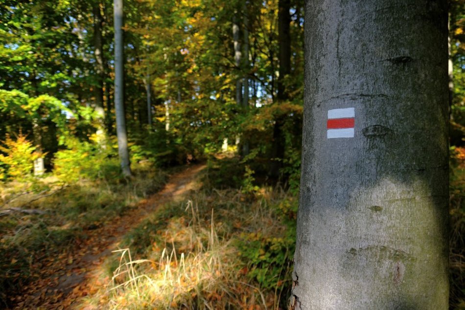 Ilustračný obrázok k článku Kam do PRÍRODY počas LOCKDOWNU: Objavte nádherné miesta v Malých Karpatoch