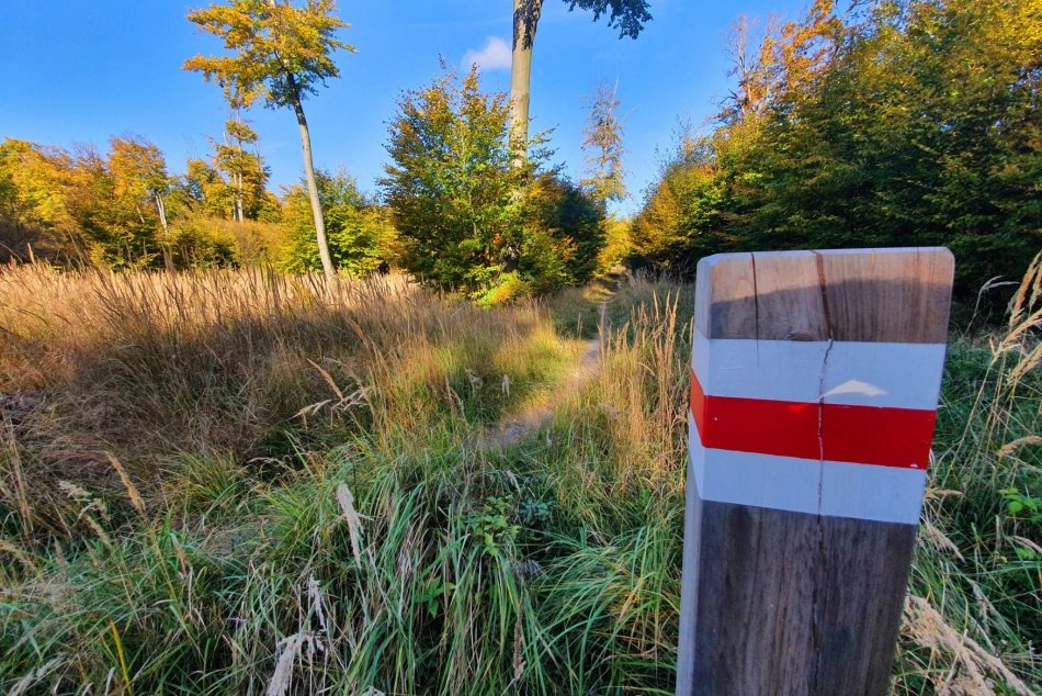 Ilustračný obrázok k článku TIP na výlet: Nová turistická trasa v Malých Karpatoch ponúka pravú jesennú ROMANTIKU