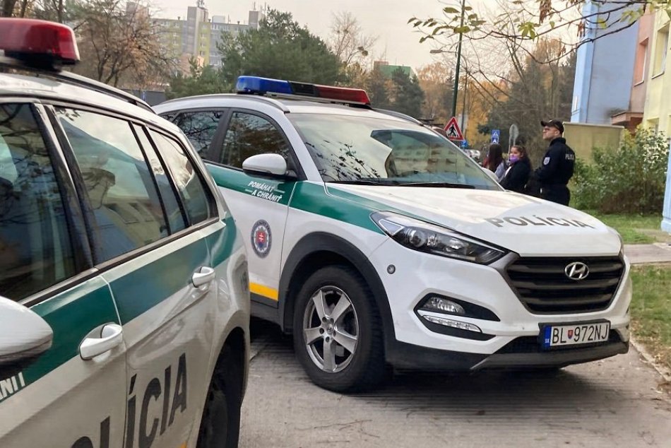 Ilustračný obrázok k článku K družke šiel so sekerou v ruke: Policajti sa nezľakli, mladík skončil v cele