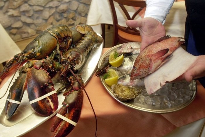 Ilustračný obrázok k článku Skončia ešte na tanieri? Chobotnice, kraby či homáre chcú dať na zoznam cítiacich tvorov