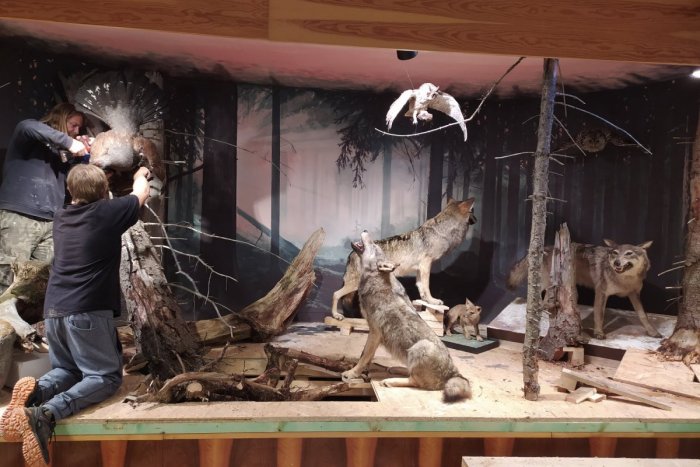 Ilustračný obrázok k článku Uvidíme aj trojrozmerné exponáty: V Tatranskej Lomnici sa vrátime o milióny rokov späť