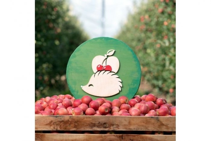 Ilustračný obrázok k článku Dobrý ježko nesie ovocie priamo zo slovenských sadov