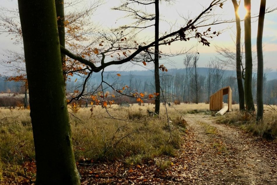 Ilustračný obrázok k článku Veľká vec sa podarila: V Malých Karpatoch vznikla prírodná rezervácia VYDRICA