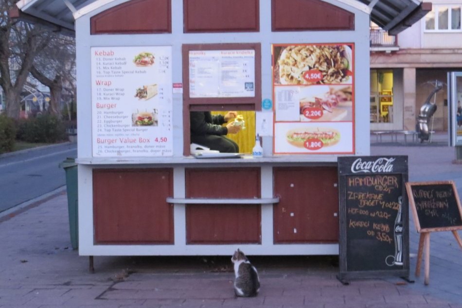 Ilustračný obrázok k článku Takto vyzerali Michalovce posledné hodiny pred LOCKDOWNOM