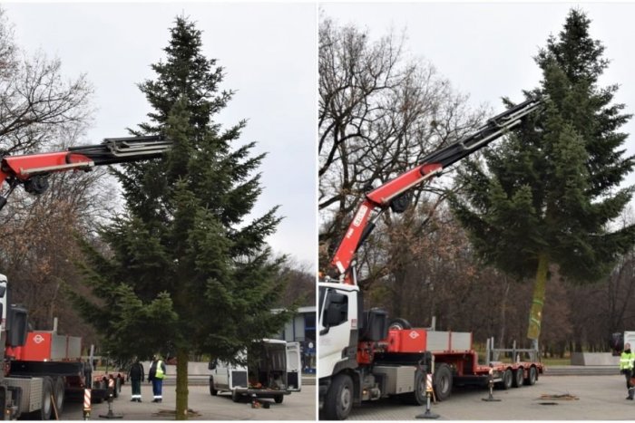 Ilustračný obrázok k článku Humenné už má vianočnú jedličku. Priviezli ju z Udavského