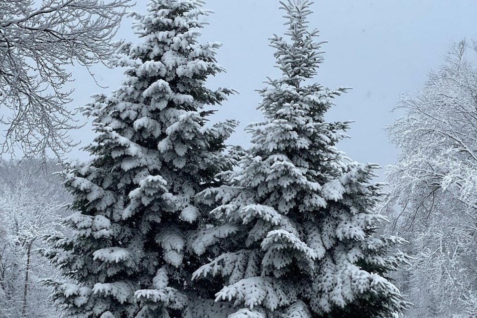 Ilustračný obrázok k článku Konečné sneží! Rozprávková zasnežená Jahodná na FOTKÁCH