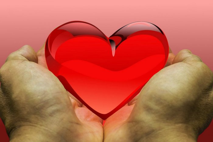 Ilustračný obrázok k článku Deň dobrých skutkov: Pridajte sa k desiatkam firiem a dobrovoľníkov a spravte svet krajším