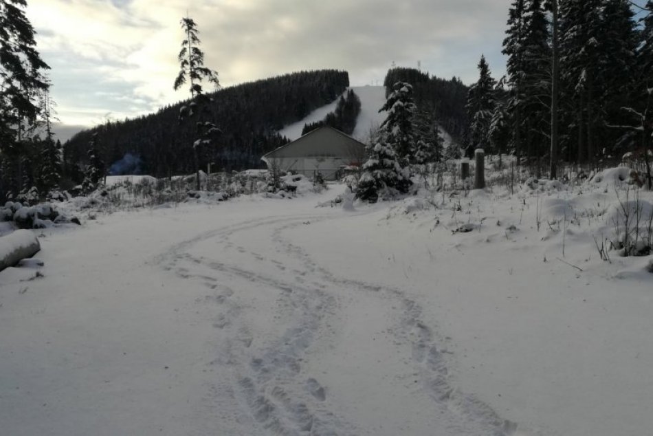 Ilustračný obrázok k článku V okolí Bystrice napadol čerstvý prašan: Na prvé bežkárske trate vyrazil ratrak, FOTO