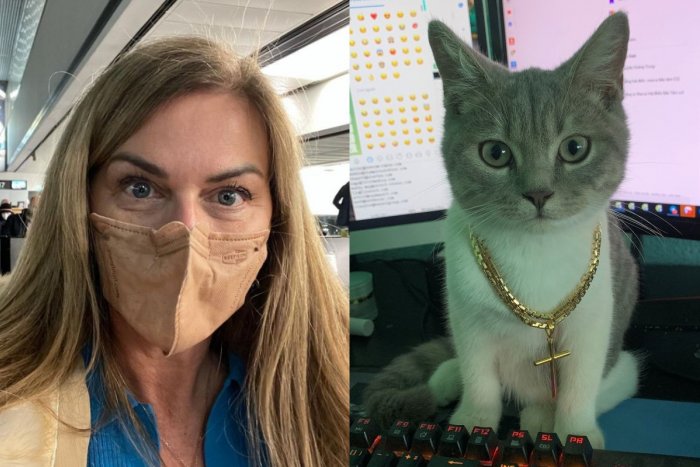 Ilustračný obrázok k článku Monika Beňová terčom HACKEROV: Útočníci napadli jej stránku na Facebooku!