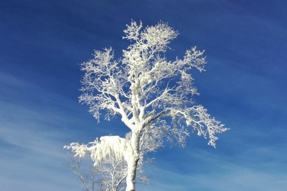 Ilustračný obrázok k článku Verili by ste, že toto sú aktuálne FOTKY z Bystrice? Kúpalisko sa mení na snehovú krajinu