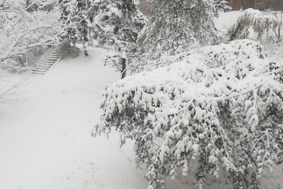 Ilustračný obrázok k článku Je to tu, Bratislava vyhlásila KALAMITNÝ STAV! Sneženie výrazne komplikuje život