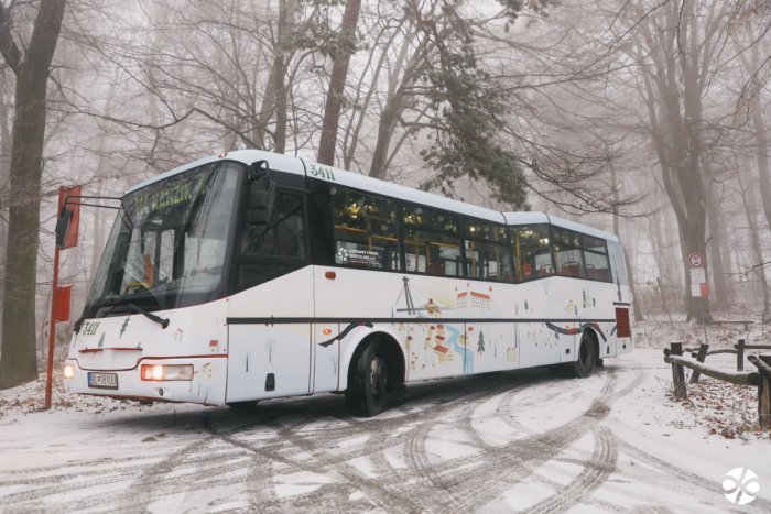Ilustračný obrázok k článku Sánkobusom za večernými zimnými radovánkami: Na KAMZÍKU sa deti vybláznia aj po zotmení