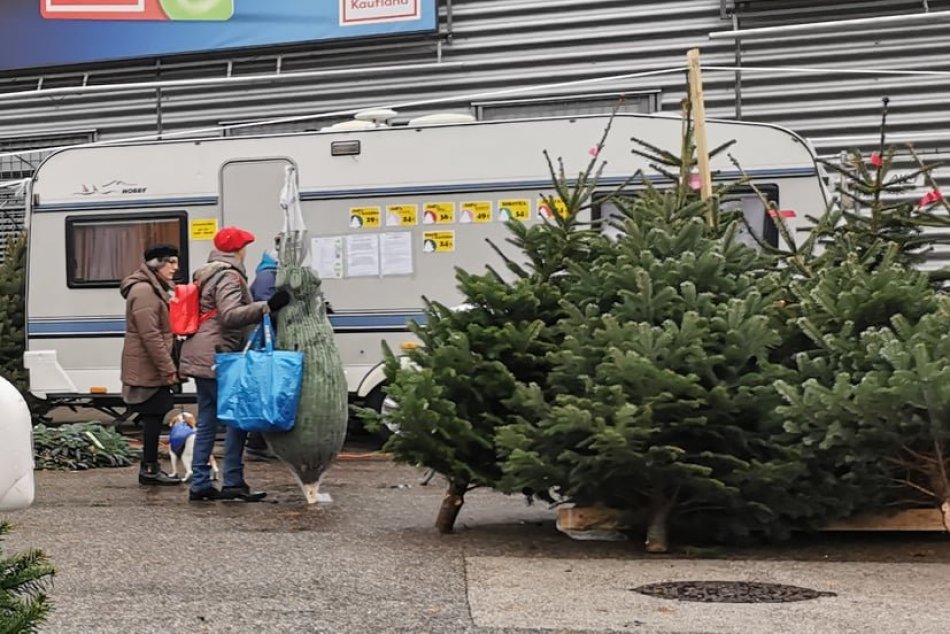 Ilustračný obrázok k článku Obzeráte sa po vianočnom STROMČEKU? Prehľad CIEN, za ktoré ich kúpite v Bratislave