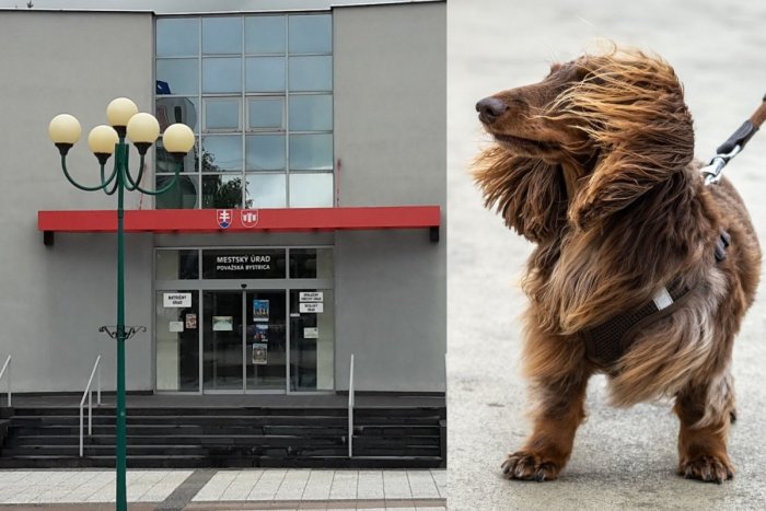 Ilustračný obrázok k článku Šaškáreň na Mestskom úrade v Považskej Bystrici: Predčasný úsmev Hafkáčov